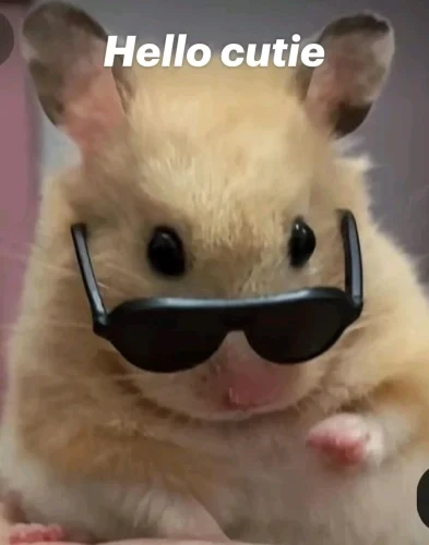 Meme chào hỏi 8
