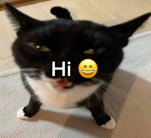 Meme chào hỏi 10
