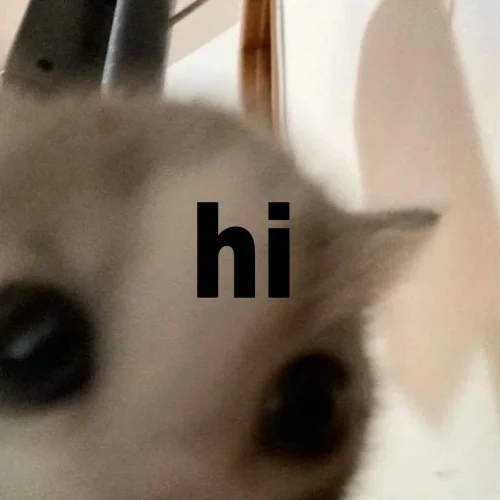 Meme chào hỏi 13