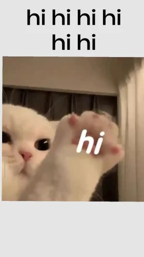 Meme chào hỏi 24