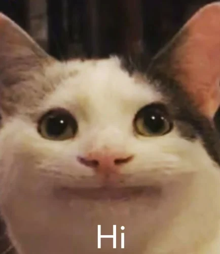 Meme chào hỏi 27