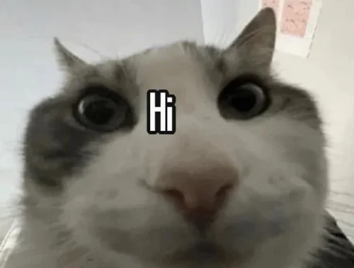 Meme chào hỏi 32