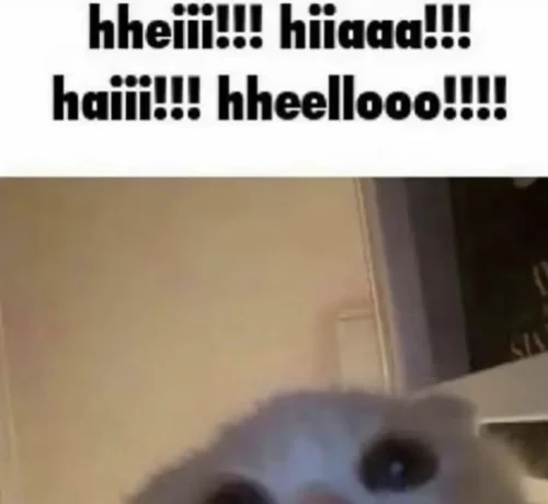 Meme chào hỏi 36