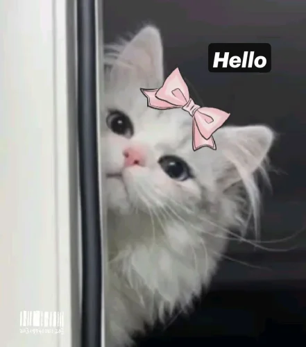 Meme chào hỏi 37