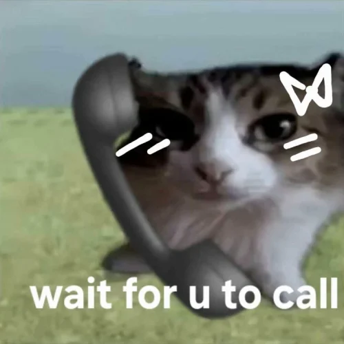 Meme chào hỏi 49