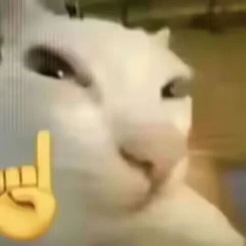 Meme chào hỏi 57