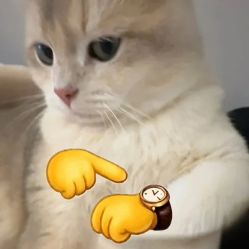 Meme chào hỏi 13