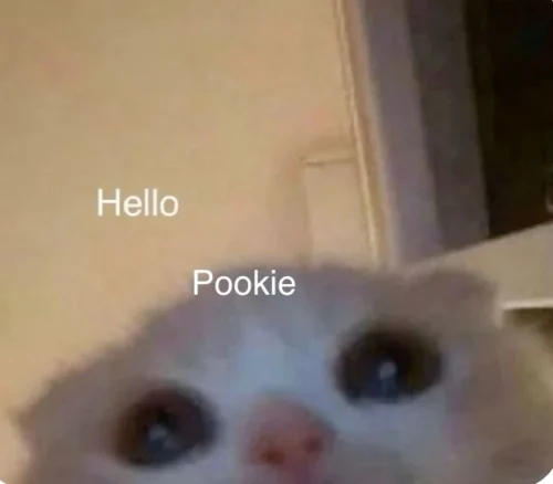 Meme chào hỏi 14