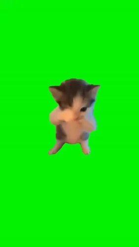 Meme chào hỏi 22