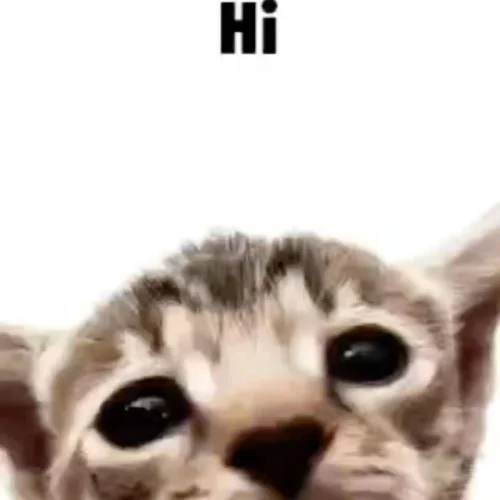 Meme chào hỏi 26