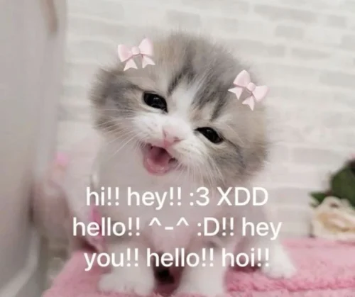 Meme chào hỏi 30