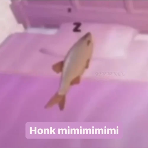 Meme chào hỏi 47