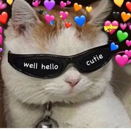 Meme chào hỏi 48