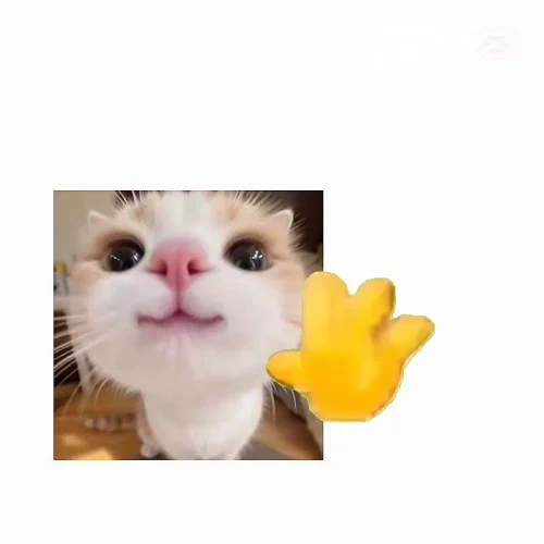 Meme chào hỏi 49