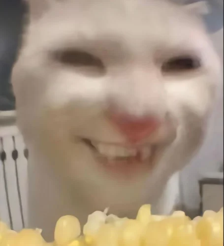 Meme chat 35