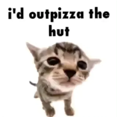 Meme chat 36