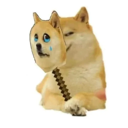Meme chó 41