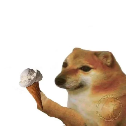 Meme chó 49