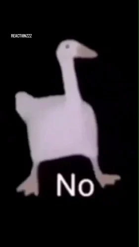 Meme comment 20
