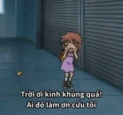 Meme Conan 12