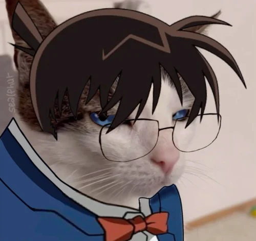 Meme Conan 14