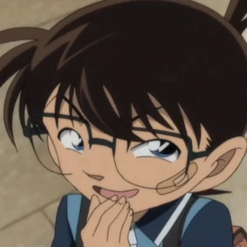 Meme Conan 29