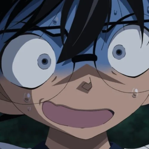 Meme Conan 37