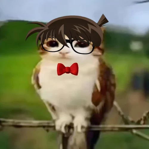 Meme Conan 48