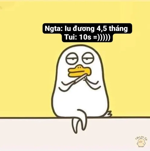 Meme cuối tuần 4