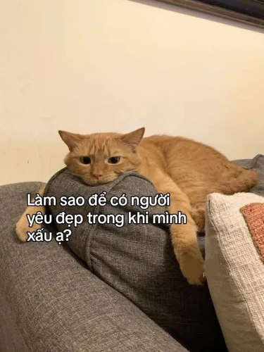 Meme cuối tuần 11