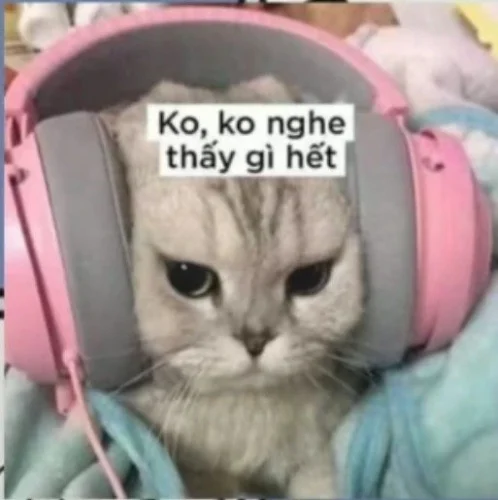 Meme cuối tuần 12