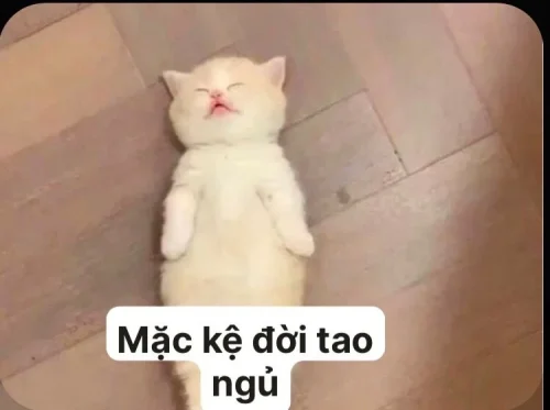 Meme cuối tuần 14