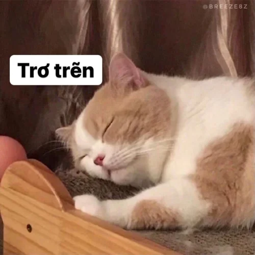 Meme cuối tuần 15