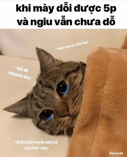 Meme cuối tuần 22