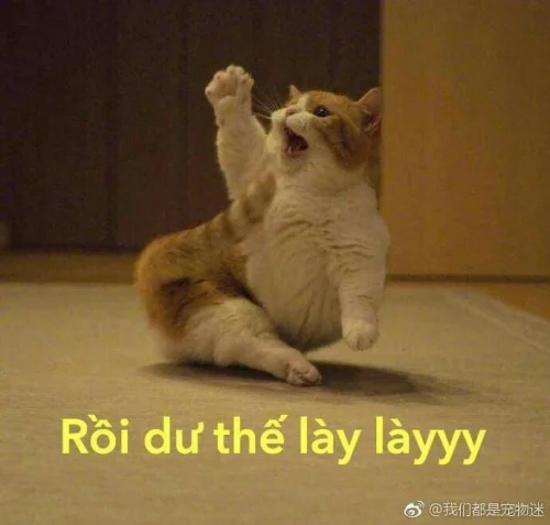 Meme cuối tuần 23