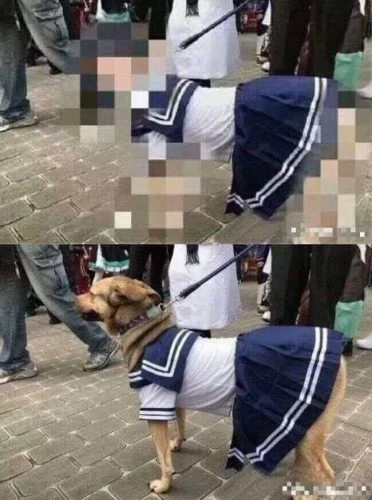 Meme cười 28