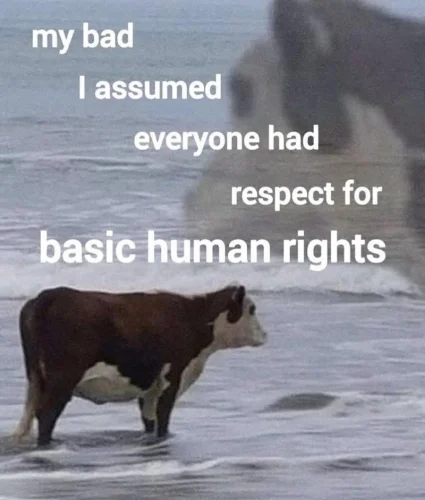 Meme deep 36