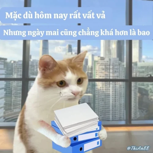 Meme đi học 6