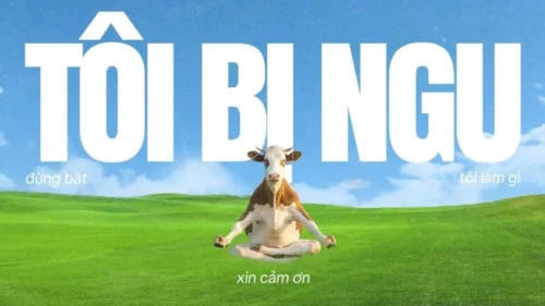 Meme đi học 13