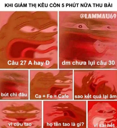 Meme đi học 16