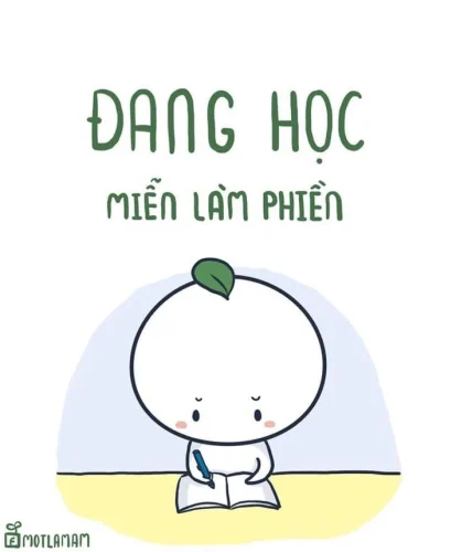 Meme đi học 22