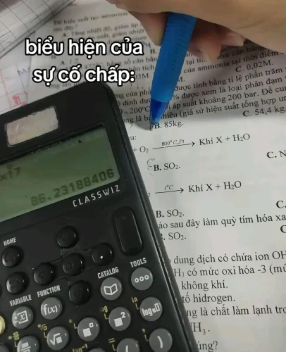 Meme đi học 24