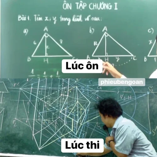 Meme đi học 43
