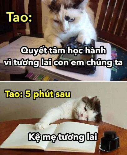 Meme đi học 13