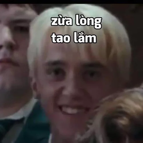 Meme đi học 40
