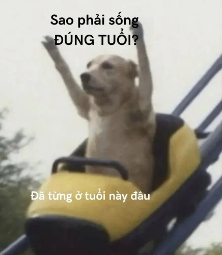 Meme đi làm 36