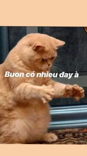 Meme đi làm 37