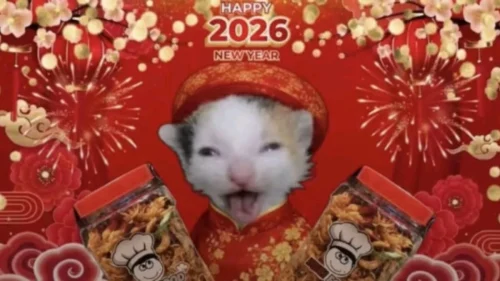 Meme Độ Mixi 34