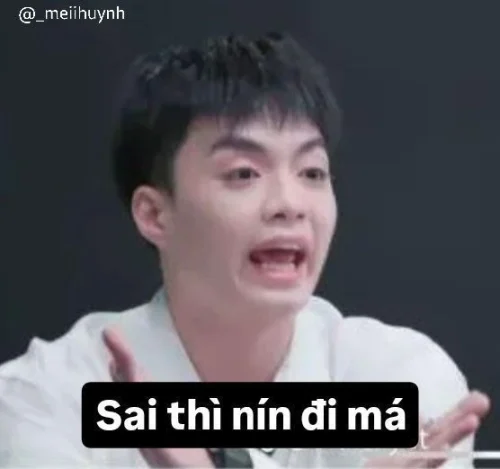 Meme Độ Mixi 41