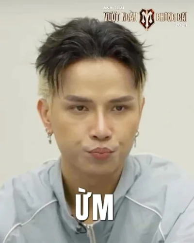 Meme Độ Mixi 14